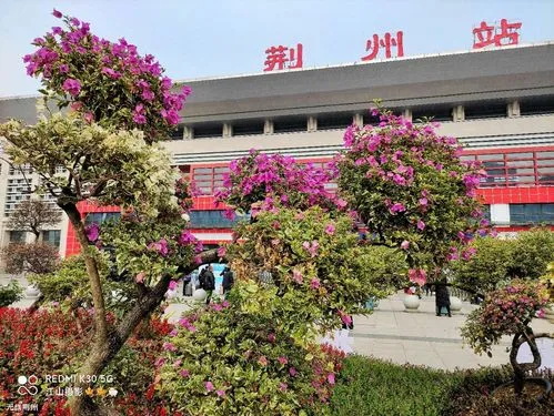 麗水到荊州物流專線-麗水至荊州貨運(yùn)公司